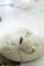 Load image into Gallery viewer, Super Soft &amp; Comfortable Pet Round Sleeping Cushion (Plushpet®) - SAVE 50% TODAY ONLY
