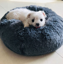 Load image into Gallery viewer, Super Soft &amp; Comfortable Pet Round Sleeping Cushion (Plushpet®) - SAVE 50% TODAY ONLY