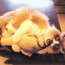 Load image into Gallery viewer, Creative Cat Chewing Toy (Cateezchew®) - SAVE 50% TODAY ONLY