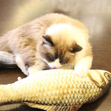 Load image into Gallery viewer, Creative Cat Chewing Toy (Cateezchew®) - SAVE 50% TODAY ONLY