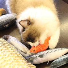Load image into Gallery viewer, Creative Cat Chewing Toy (Cateezchew®) - SAVE 50% TODAY ONLY