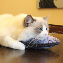 Load image into Gallery viewer, Creative Cat Chewing Toy (Cateezchew®) - SAVE 50% TODAY ONLY