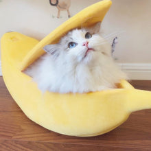 Load image into Gallery viewer, Cute Banana Portable Pet Bed (Pmd-bednana®) - SAVE 50% TODAY ONLY