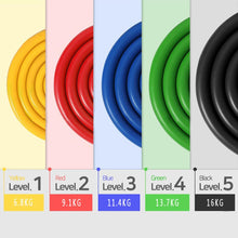 Load image into Gallery viewer, Fitness &amp; Workout Resistance Bands - ResiBands™ - 11-pcs/Set