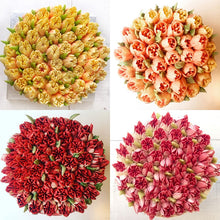 Load image into Gallery viewer, Russian Tulip Icing Piping Nozzles® (14-Pcs/1 Set) - SAVE 50% TODAY ONLY