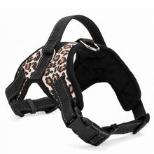 Load image into Gallery viewer, Nylon Heavy Duty Dog Harness (Woodondogz®) - SAVE 50% TODAY ONLY